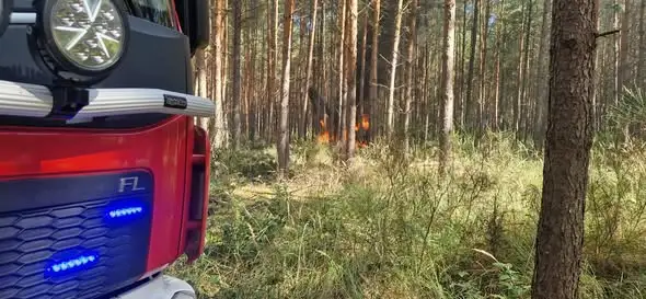 Pożar maszyny leśnej w Moryniu Dworze – interwencja OSP Moryń