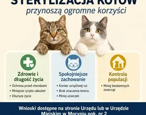 Gmina Moryń sterylizuje i karmi koty – projekt „Nasze Zwierzaki 2026”