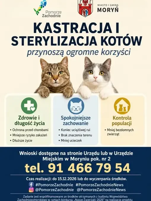 Gmina Moryń sterylizuje i karmi koty – projekt „Nasze Zwierzaki 2026”