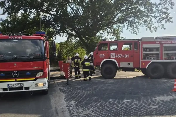 Dwie interwencje strażaków z OSP Lubiechów Górny — drzewo i złamana gałąź nad drogą