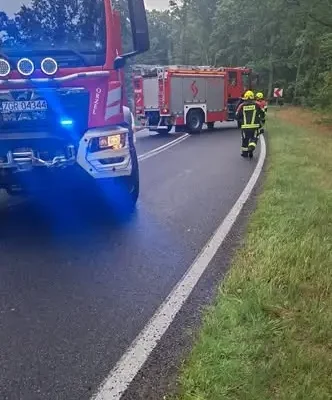 Wypadek na DK 26 między Trzcińskiem-Zdrojem a Chojną – interweniowały służby
