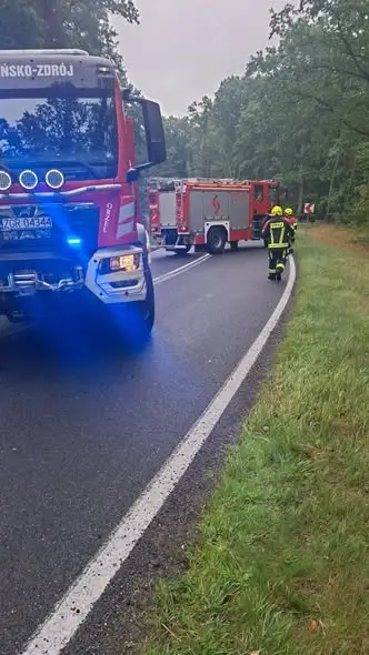 Wypadek na DK 26 między Trzcińskiem-Zdrojem a Chojną – interweniowały służby