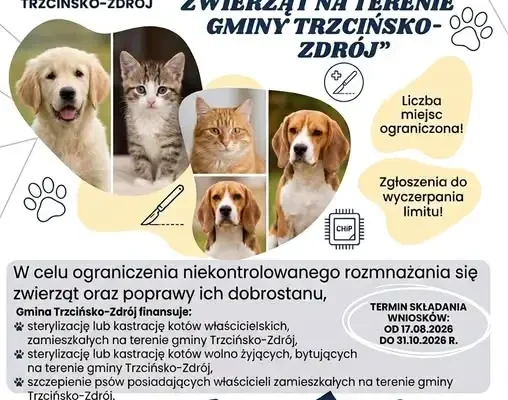 Gmina Trzcińsko-Zdrój finansuje sterylizację i szczepienia zwierząt – nabór wniosków do końca października
