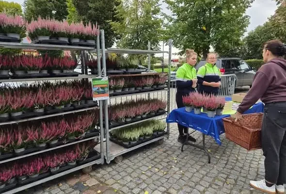 Eko-sobota w Chojnie i Trzcińsku-Zdroju: elektroodpady zamienione na sadzonki