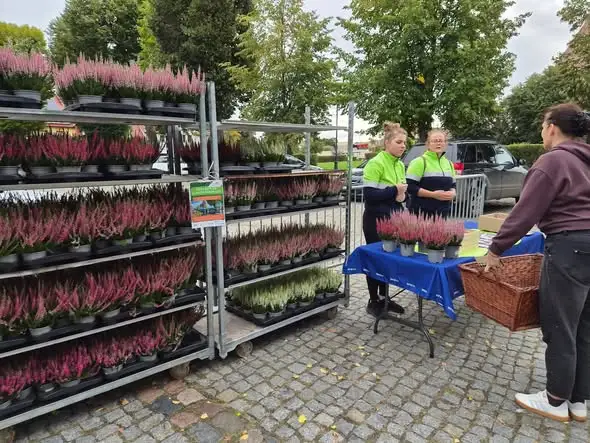 Eko-sobota w Chojnie i Trzcińsku-Zdroju: elektroodpady zamienione na sadzonki
