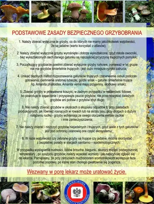 Bezpłatne porady grzyboznawcy i atest na grzyby w Gryfinie