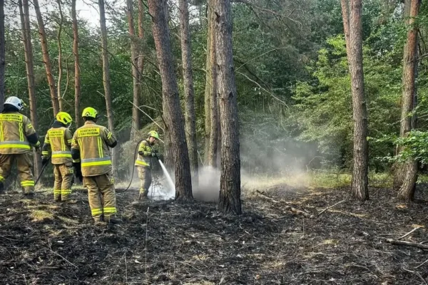 Pożar lasu w Widuchówku — akcja OSP Widuchowa