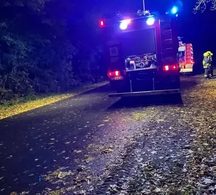 Pożar samochodu osobowego na drodze Stołeczna-Piaseczno. Interweniowały OSP Trzcińsko-Zdrój i OSP Stołeczna