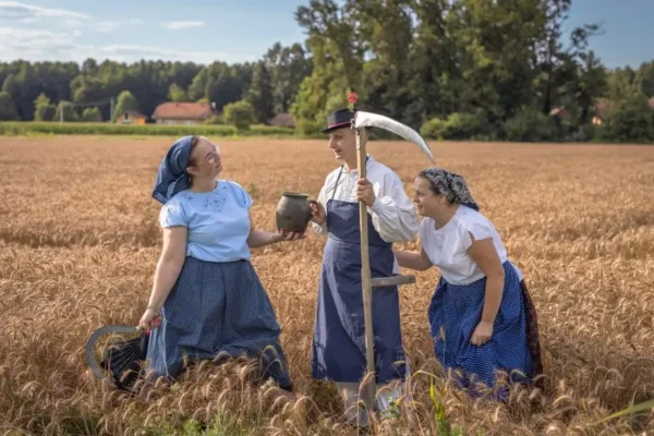 Dożynki sołeckie w Żelechowie – muzyka, atrakcje i wspólne świętowanie