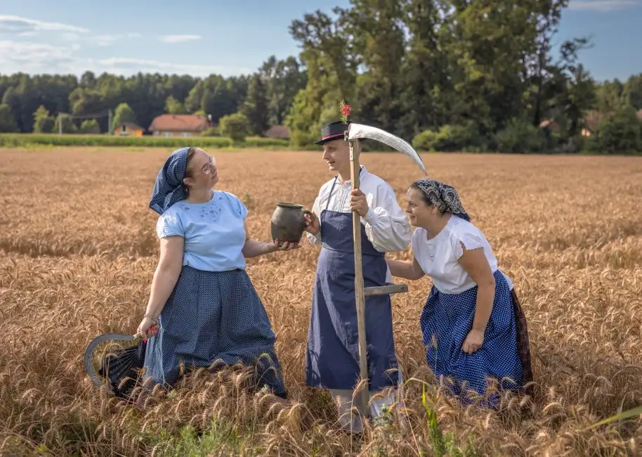 Dożynki sołeckie w Żelechowie – muzyka, atrakcje i wspólne świętowanie